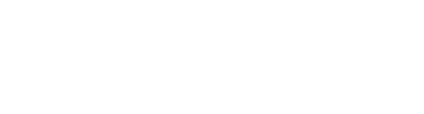 Villa Global Education
